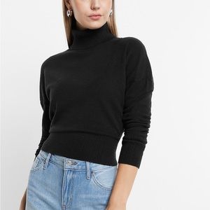 Express Ultra Soft Turtleneck